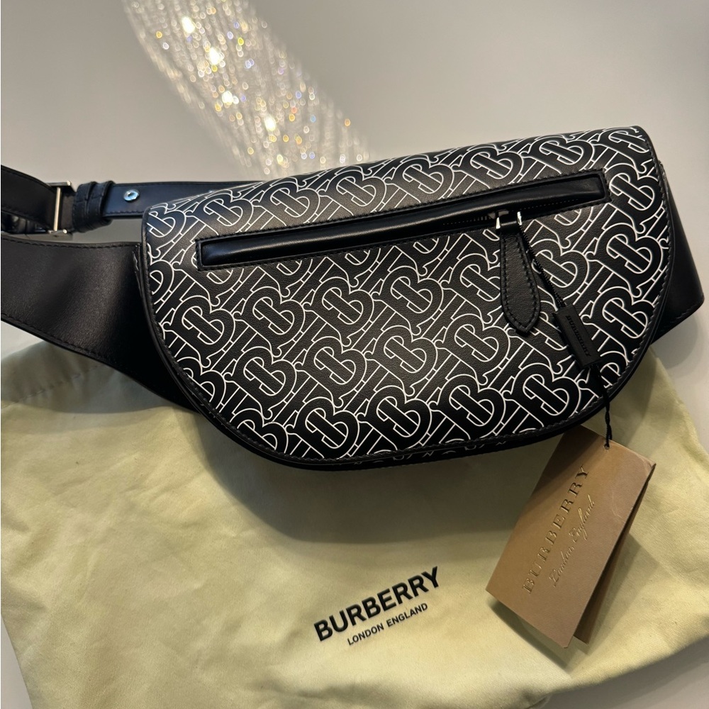 Burberry Belt Bag - Picture 3 of 7